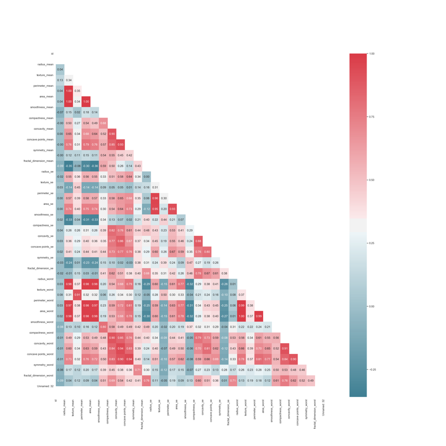 Heatmap showing correlations