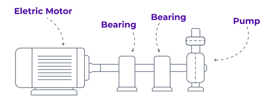 Electric motor which drives a pump with two bearings